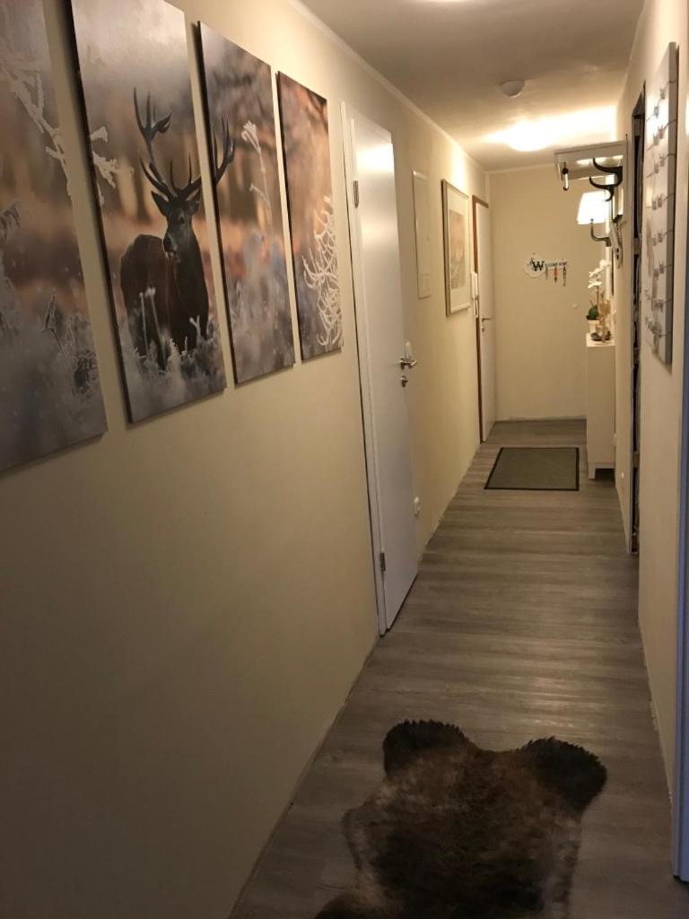 Wurmbergtraum Celina In Braunlage 4 Sterne Zertifiziert Vom Dtv Inklusive Waeschepakete Daire Dış mekan fotoğraf